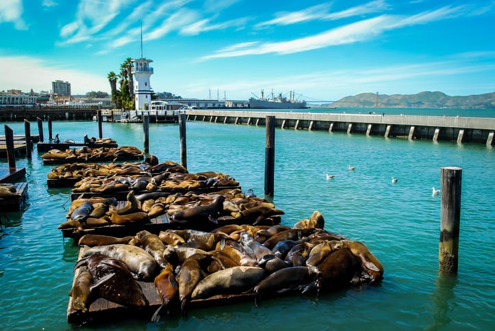 Fisherman's Wharf - Golden Gate